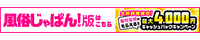 店舗詳細 恋するいん乱若妻｜風俗じゃぱん